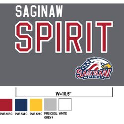Saginaw Spirit Mixed Media Patch Thumbnail