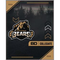 Bobcaygeon Bears Collegiate Fabric Slip Thumbnail