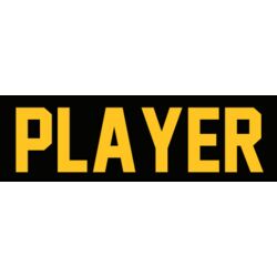 Guelph Gryphons Name Bar - Black Thumbnail