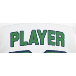 Nipissing Lakers Women's OUA Name Bar Thumbnail