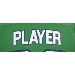 Nipissing Lakers Women's OUA Name Bar Thumbnail