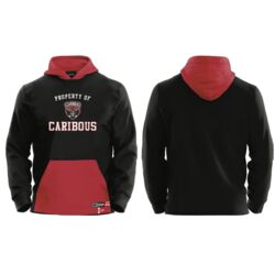 Clarenville Caribous Art Attack Streetwear Hoodie - Youth  Thumbnail