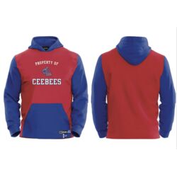 Conception Bay Ceebees  Art Attack Streetwear Hoodie - Youth  Thumbnail