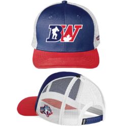 Wildcats 6 Panel Mesh Hat Thumbnail