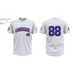 Cambridge Cubs Pinstripe Two-Button Baseball Jersey Thumbnail