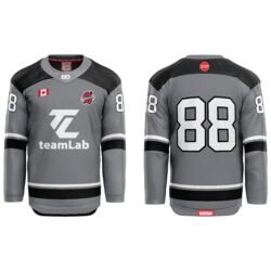 Whitchurch Stouffville Hockey Jersey - Sponsor: TeamLab - Adult Thumbnail