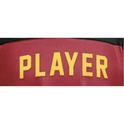 Guelph Gryphons Name Bar - Red Thumbnail